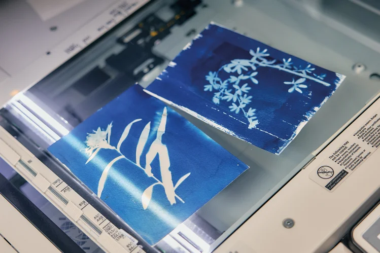 Der Cyanotypie-Druck auf dem Kleid